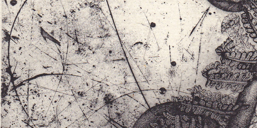 topimage/トップイメージ